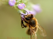 获取手机号验证码平台